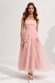 Anastasia Mesh Maxi Dress