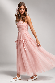 Anastasia Mesh Maxi Dress
