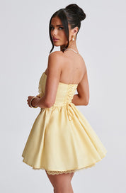 Madeline Corset Mini Dress