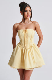 Madeline Corset Mini Dress